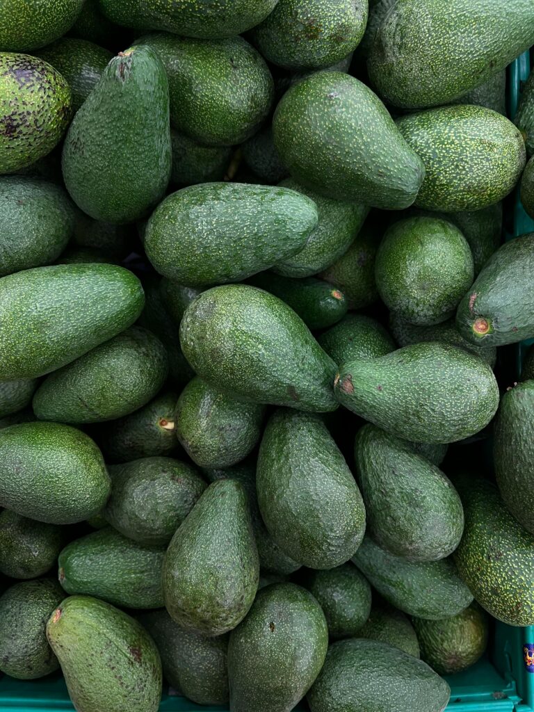 Close-up of freshly harvested avocados piled together, showcasing texture and lush green color.